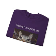 Funny Staring Cat Meme Sweatshirt Rage Is Consuming Me Unisex Gift