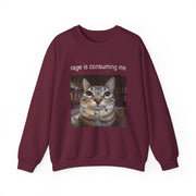 Funny Staring Cat Meme Sweatshirt Rage Is Consuming Me Unisex Gift