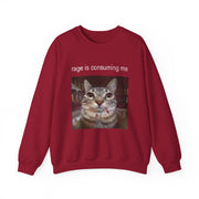 Funny Staring Cat Meme Sweatshirt Rage Is Consuming Me Unisex Gift