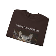 Funny Staring Cat Meme Sweatshirt Rage Is Consuming Me Unisex Gift