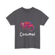 Cozumel Mexico Souvenir Tank Top - Unisex Apparel