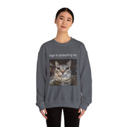 Funny Staring Cat Meme Sweatshirt Rage Is Consuming Me Unisex Gift