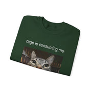 Funny Staring Cat Meme Sweatshirt Rage Is Consuming Me Unisex Gift
