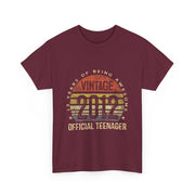 Vintage 2012 Official Teenager 13th Birthday T-Shirt - Unisex Gift
