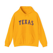 Classic Texas Throwback Hoodie - Vintage Unisex Apparel
