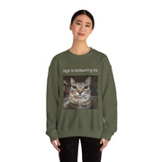 Funny Staring Cat Meme Sweatshirt Rage Is Consuming Me Unisex Gift
