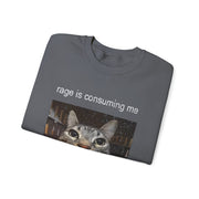 Funny Staring Cat Meme Sweatshirt Rage Is Consuming Me Unisex Gift