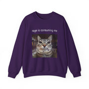 Funny Staring Cat Meme Sweatshirt Rage Is Consuming Me Unisex Gift
