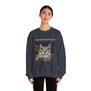 Funny Staring Cat Meme Sweatshirt Rage Is Consuming Me Unisex Gift