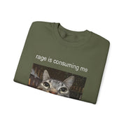 Funny Staring Cat Meme Sweatshirt Rage Is Consuming Me Unisex Gift