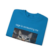 Funny Staring Cat Meme Sweatshirt Rage Is Consuming Me Unisex Gift