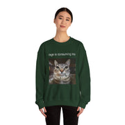 Funny Staring Cat Meme Sweatshirt Rage Is Consuming Me Unisex Gift