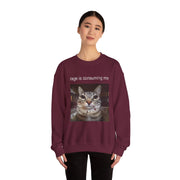 Funny Staring Cat Meme Sweatshirt Rage Is Consuming Me Unisex Gift