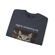 Funny Staring Cat Meme Sweatshirt Rage Is Consuming Me Unisex Gift