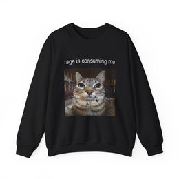 Funny Staring Cat Meme Sweatshirt Rage Is Consuming Me Unisex Gift