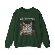 Funny Staring Cat Meme Sweatshirt Rage Is Consuming Me Unisex Gift