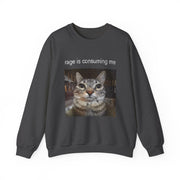 Funny Staring Cat Meme Sweatshirt Rage Is Consuming Me Unisex Gift