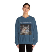 Funny Staring Cat Meme Sweatshirt Rage Is Consuming Me Unisex Gift