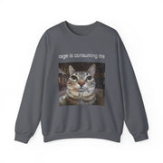 Funny Staring Cat Meme Sweatshirt Rage Is Consuming Me Unisex Gift