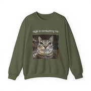 Funny Staring Cat Meme Sweatshirt Rage Is Consuming Me Unisex Gift