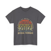 Vintage 2012 Official Teenager 13th Birthday T-Shirt - Unisex Gift