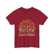 Vintage 2012 Official Teenager 13th Birthday T-Shirt - Unisex Gift
