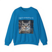 Funny Staring Cat Meme Sweatshirt Rage Is Consuming Me Unisex Gift
