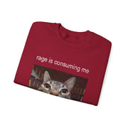 Funny Staring Cat Meme Sweatshirt Rage Is Consuming Me Unisex Gift