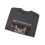 Funny Staring Cat Meme Sweatshirt Rage Is Consuming Me Unisex Gift