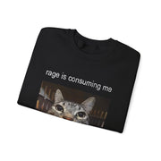 Funny Staring Cat Meme Sweatshirt Rage Is Consuming Me Unisex Gift